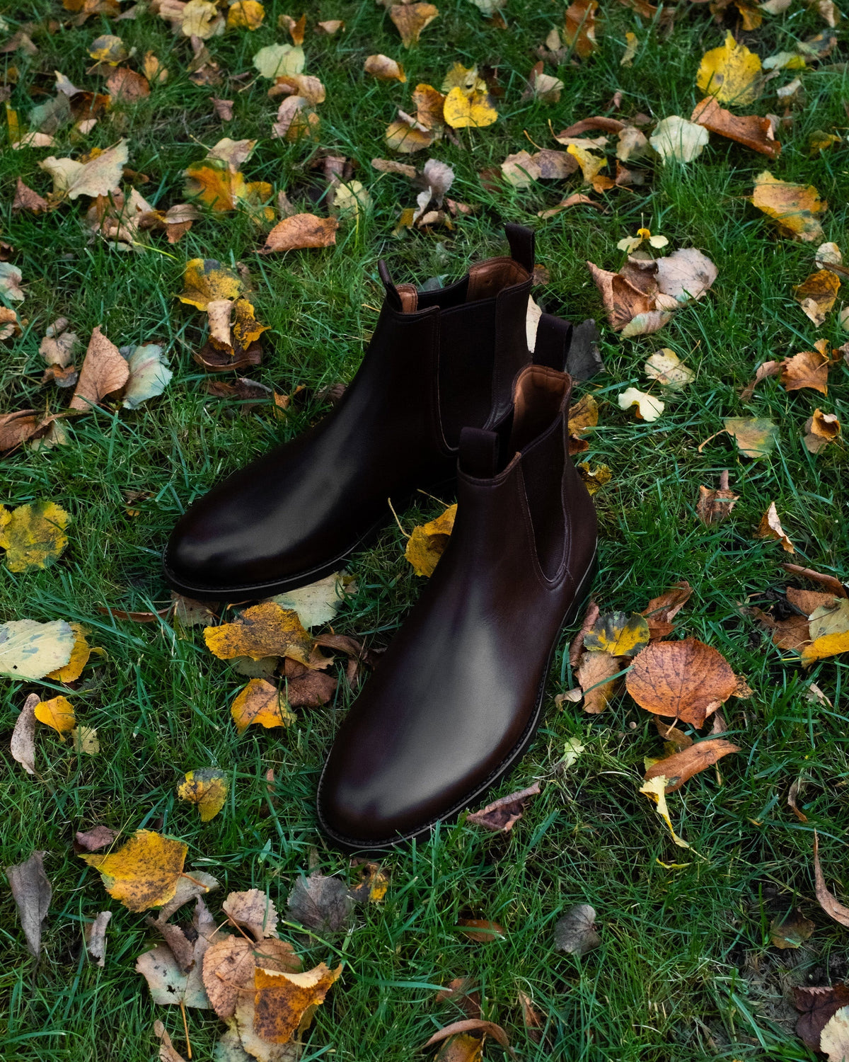 Whitlock Chelsea Boot – Dark Brown Calf